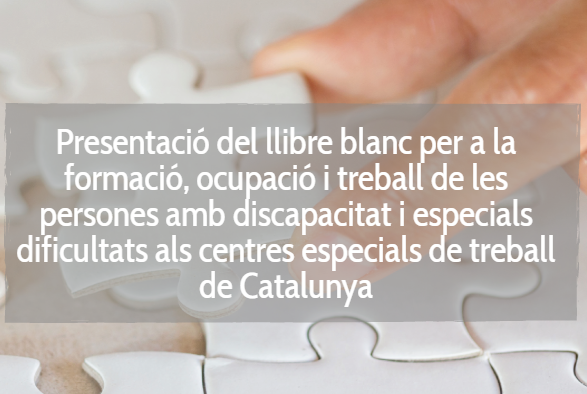 NP| L’IESE i l’AEES Dincat presenten els principis i eixos clau d’un nou model d’integració social i laboral de les persones amb discapacitat i especials dificultats